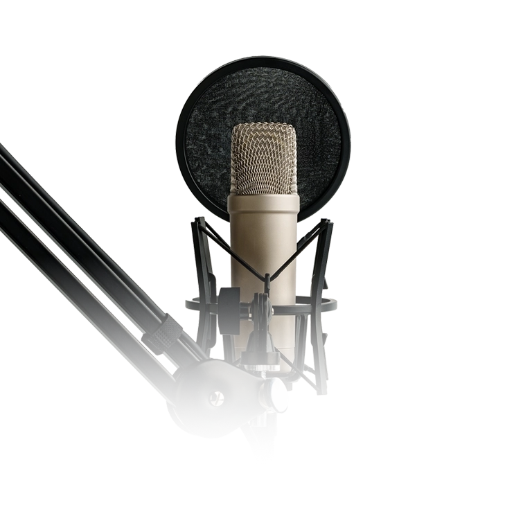 professional studio microphone 